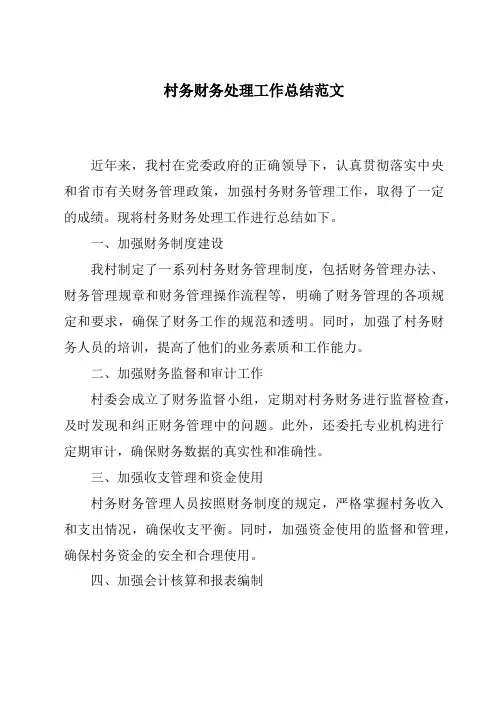 村务财务处理工作总结范文