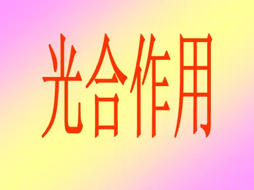 初中生物课件—光合作用