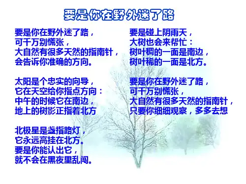 大自然的语言 (1)