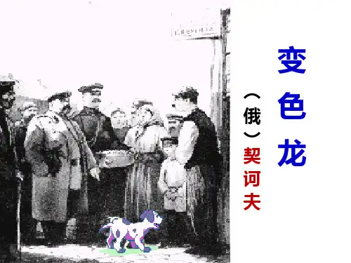 第6课《变色龙》课件(共43张PPT)2022—2023学年统编版语文九年级下册