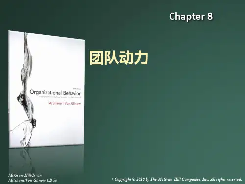 团队动力PPT课件