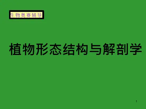 植物形态结构花高中生物竞赛辅导课件