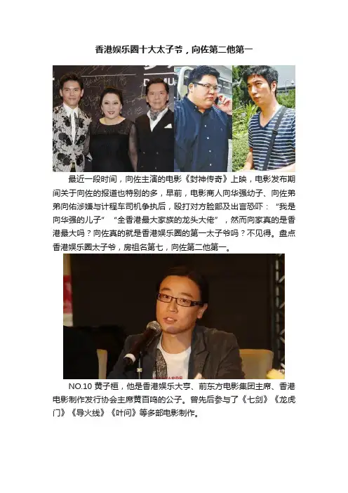 香港娱乐圈十大太子爷，向佐第二他第一