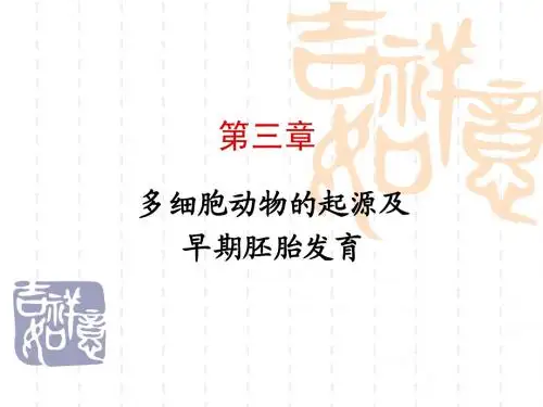 第三章 多细胞动物的起源