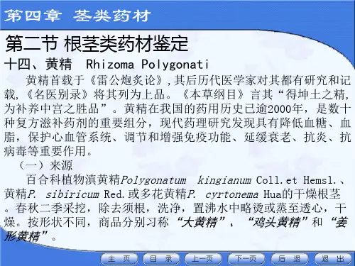 第四章茎类第二节(十四)黄精～(十九)天麻