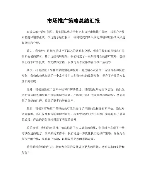 市场推广策略总结汇报