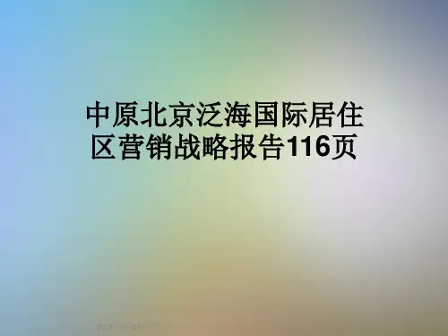 中原北京泛海国际居住区营销战略报告116页
