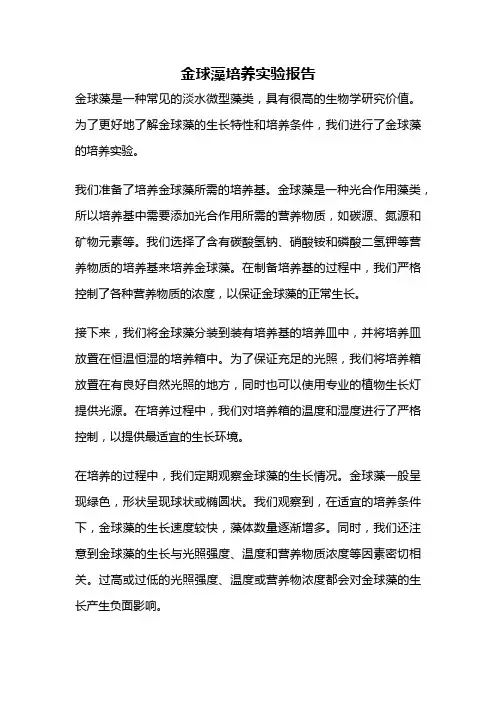 金球藻培养实验报告