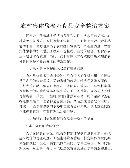 农村集体聚餐及食品安全整治方案