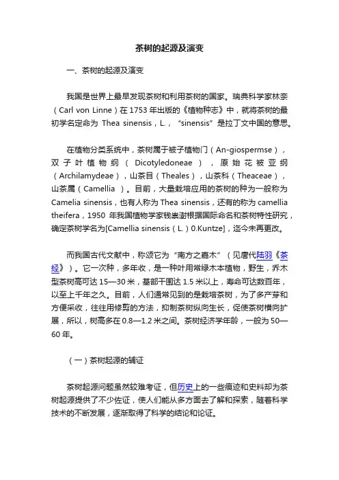 茶树的起源及演变