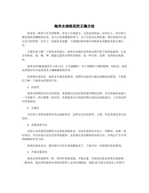 淘米水浇桂花的正确方法