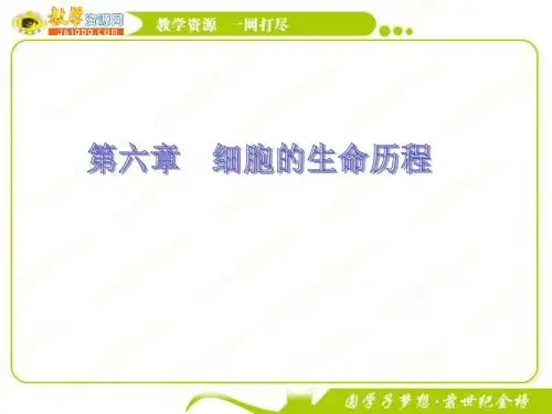 11-12学年高一生物必修1(新人教版)同步课件：6.1 细胞的增殖