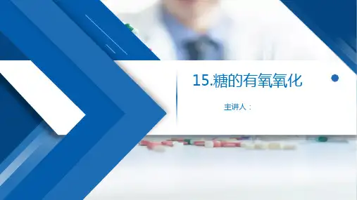 生物化学 第二版 15糖的有氧氧化