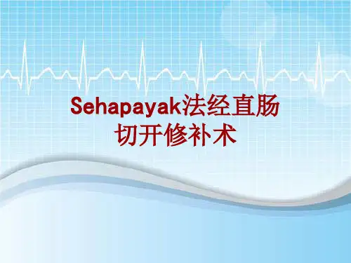 手术讲解模板：Sehapayak法经直肠切开修补术