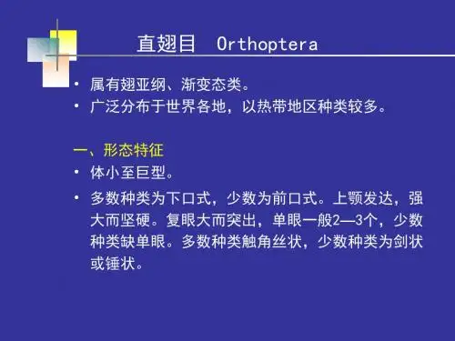 昆虫分类-2【植物保护与病害防治】