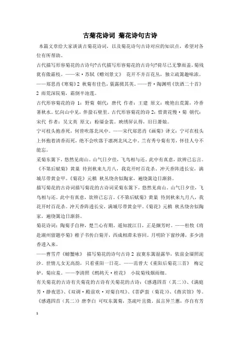古菊花诗词 菊花诗句古诗