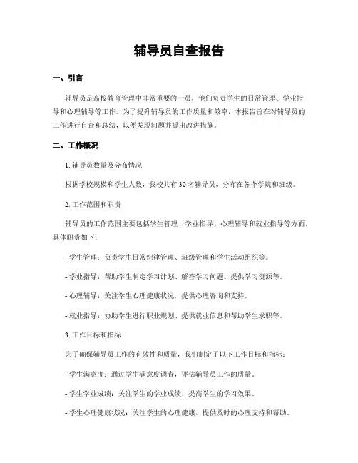 辅导员自查报告