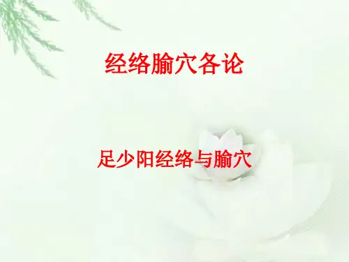 足少阳经络与腧穴