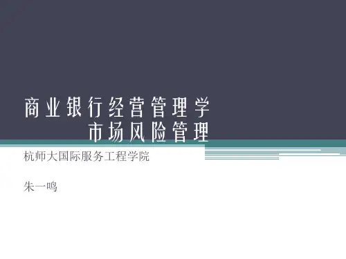 市场风险管理ppt课件