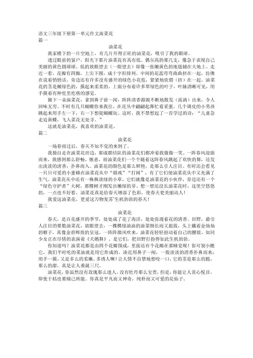 语文三年级下册第一单元作文油菜花