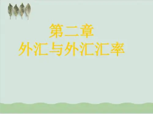 外汇与外汇汇率案例分析PPT课件( 42页)