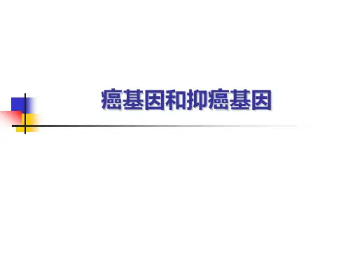 癌基因和抑癌基因