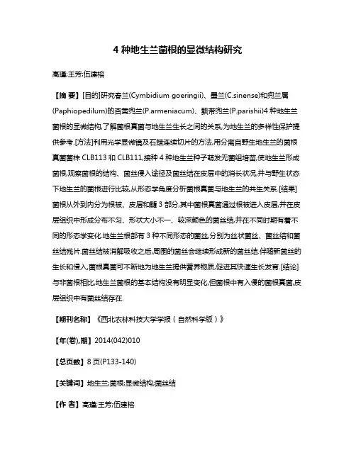 4种地生兰菌根的显微结构研究