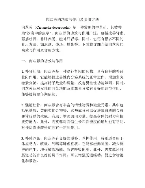 肉苁蓉的功效与作用及食用方法