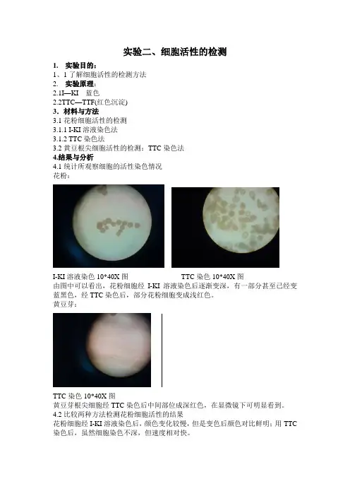 细胞活性的检测