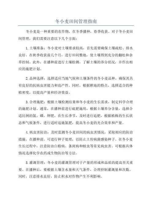冬小麦田间管理指南