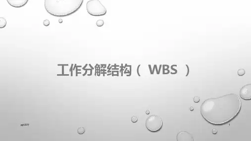 工作分解结构(WBS)  ppt课件