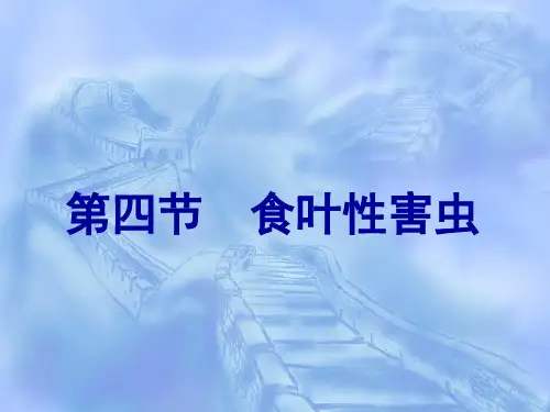 第八章 水稻害虫∮4叶虫-稻纵卷叶螟-13 农业昆虫学教学课件
