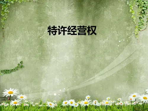 特许经营权 PPT课件