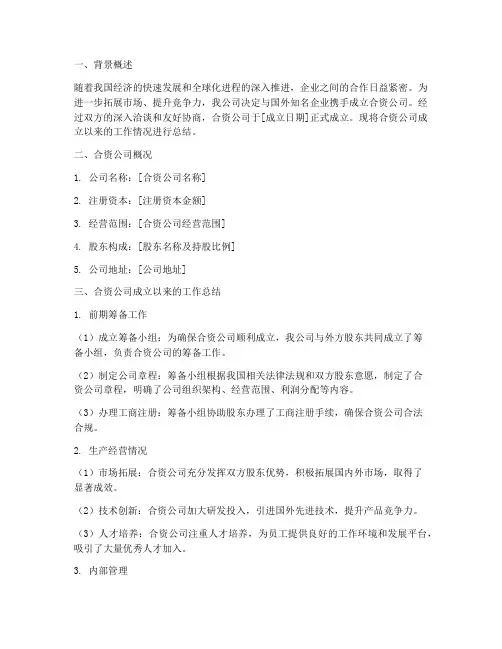 成立合资公司总结范文