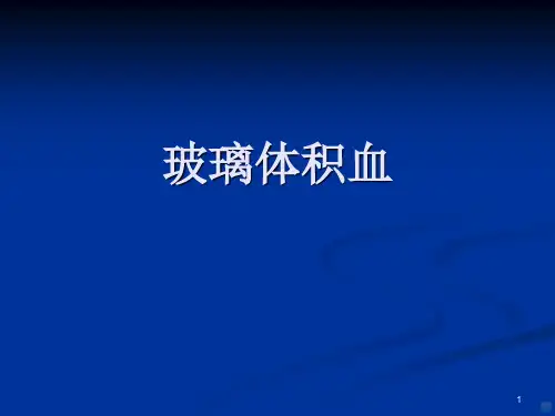 玻璃体积血PPT课件