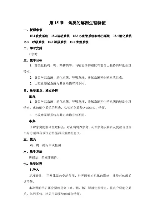 15禽类的解剖生理特征