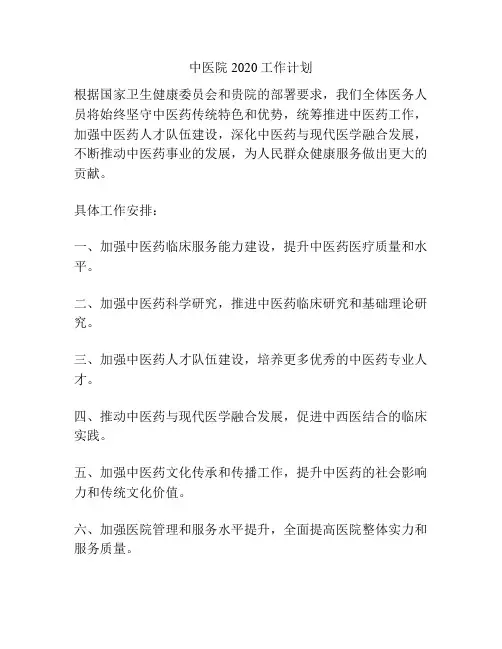 中医院2020工作计划