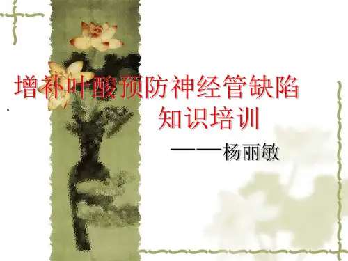 增补叶酸知识培训教材