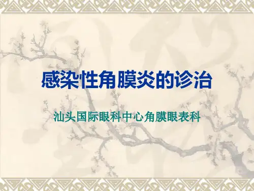 感染性角膜炎