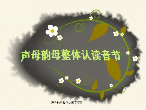 声母韵母整体认读音节表 ppt课件