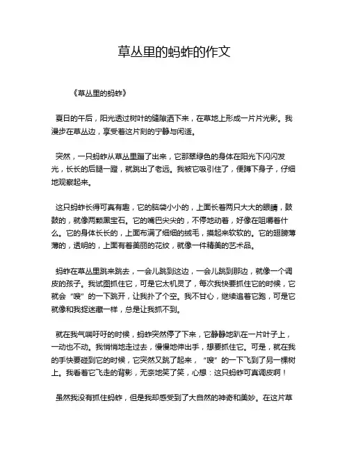 草丛里的蚂蚱的作文