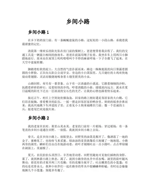 乡间小路-专业文档!