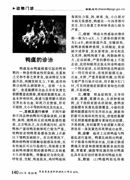 鸭瘟的诊治