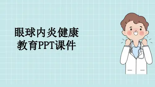 眼球内炎健康教育PPT课件
