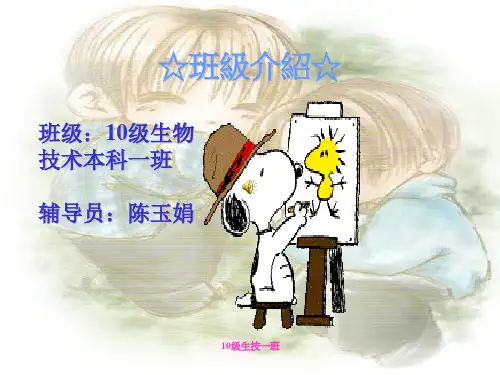 班级介绍