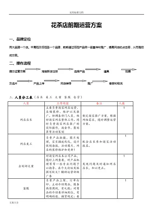 淘宝C店商城前期运营策划书