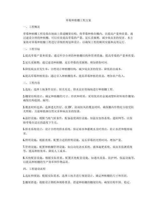 草莓种植棚工程方案