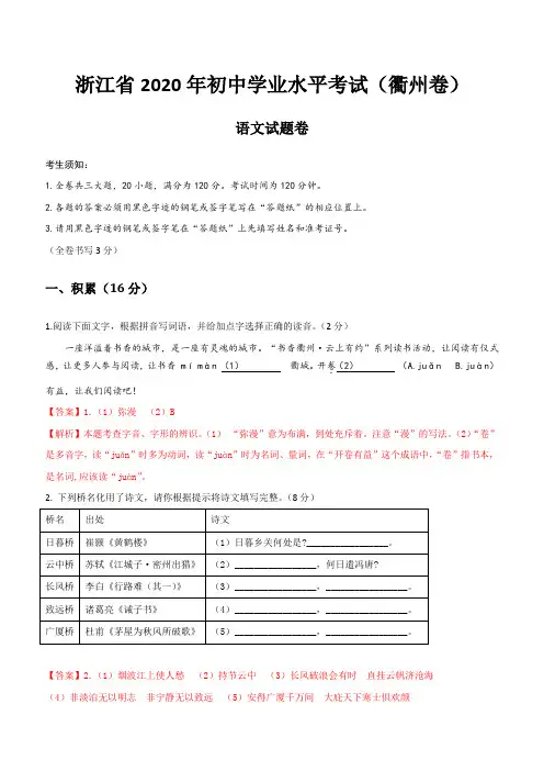 2020年浙江省衢州市中考语文试题(含解析)