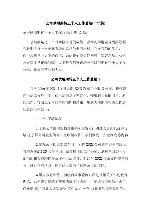 公司试用期转正个人工作总结(十二篇)