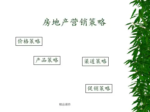 营销——价格策略房地产